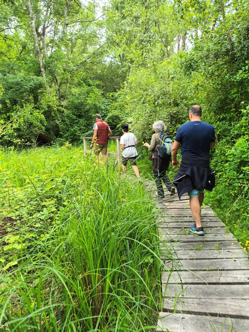 Campingpladser i Tourbières