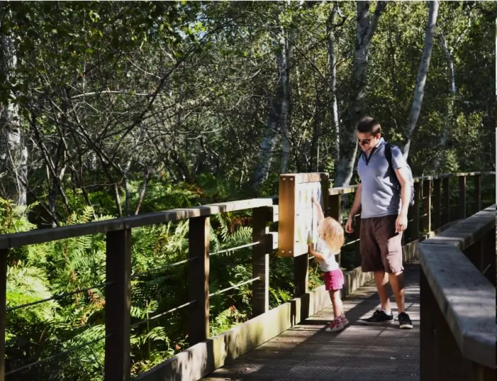 Camping Paradis Le Tastesoule 4 Estrellas★★★★