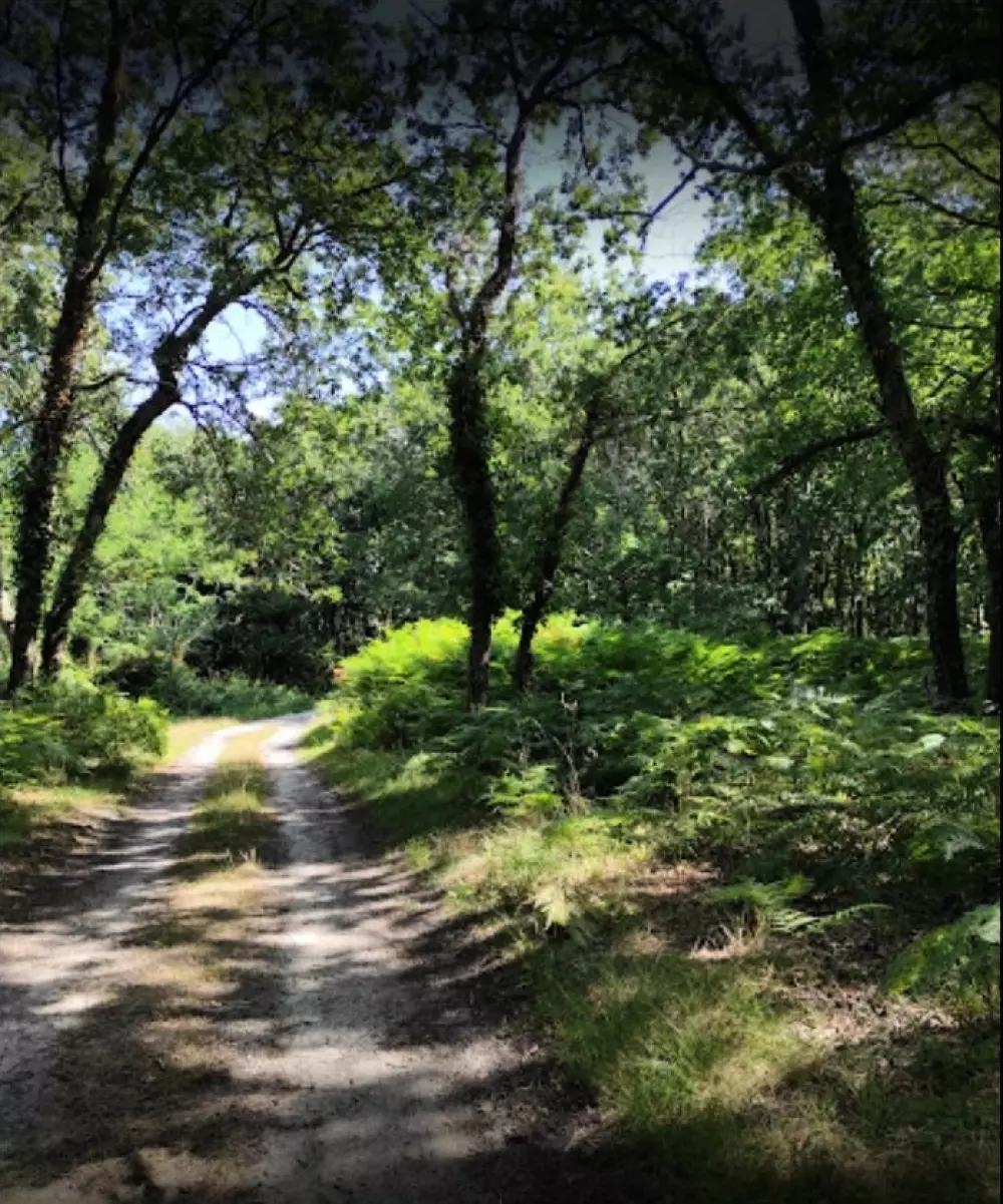 Camping Paradis Le Tastesoule 4 Estrellas★★★★