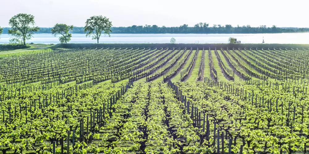 Camping Paradis Le Tastesoule 4 Estrellas★★★★