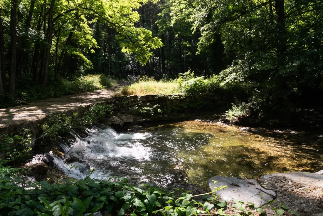 Gîte de France Gîte 6/8 Personen in Loubreyrou 3 Epis