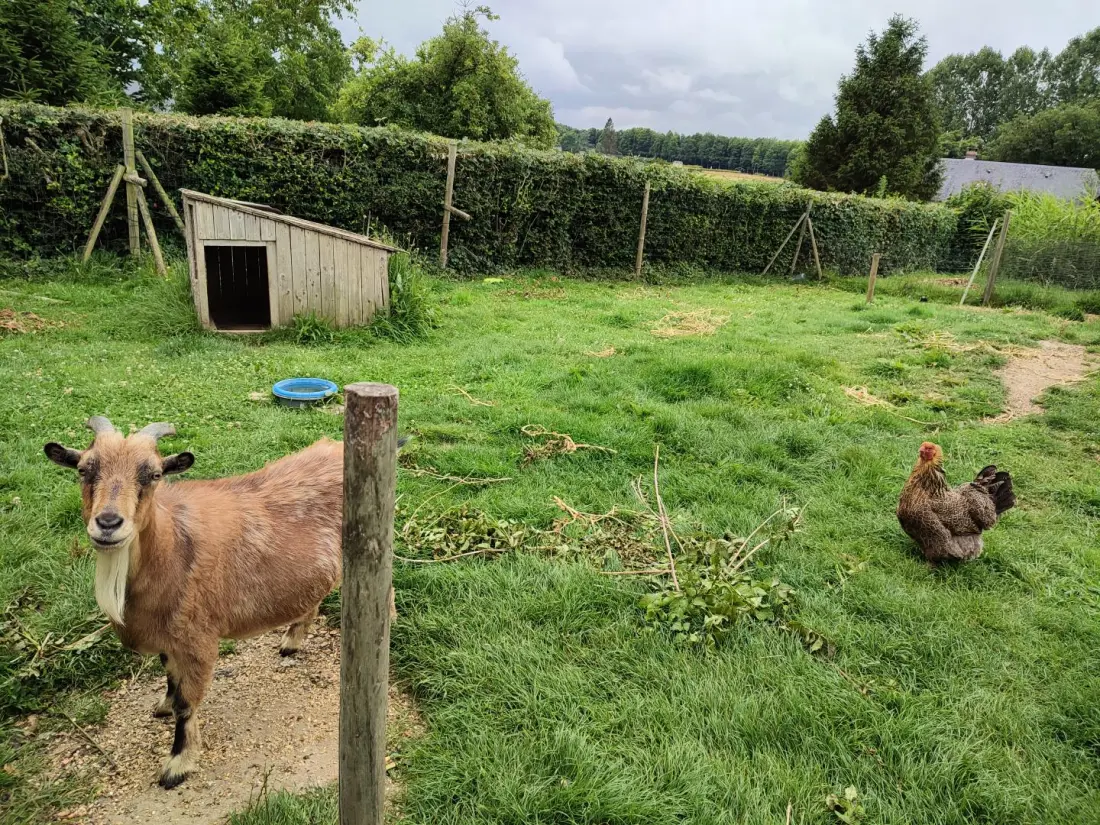 Gîte de France Gîtes de france® - az erdő kapuja 3 fül