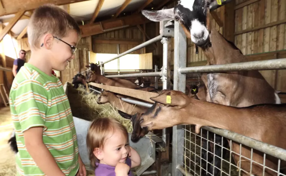 Camping Mañana Tranquila 3 Estrellas★★★