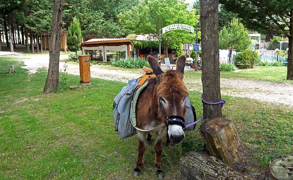 Camping Mañana Tranquila 3 Estrellas★★★