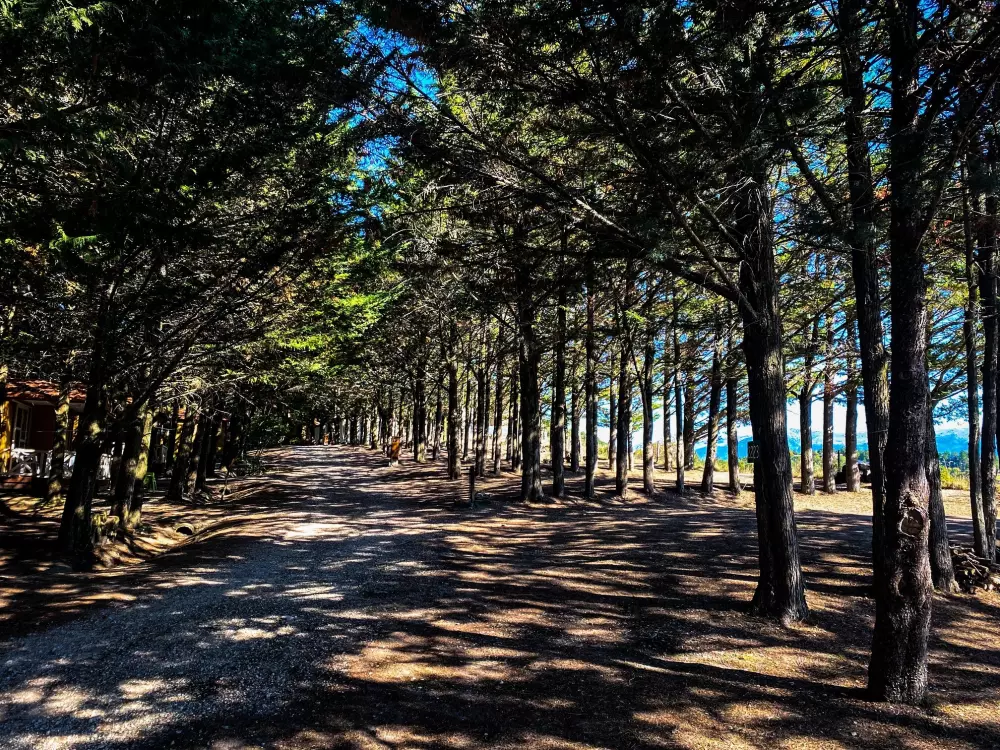 Camping Mañana Tranquila 3 Estrellas★★★