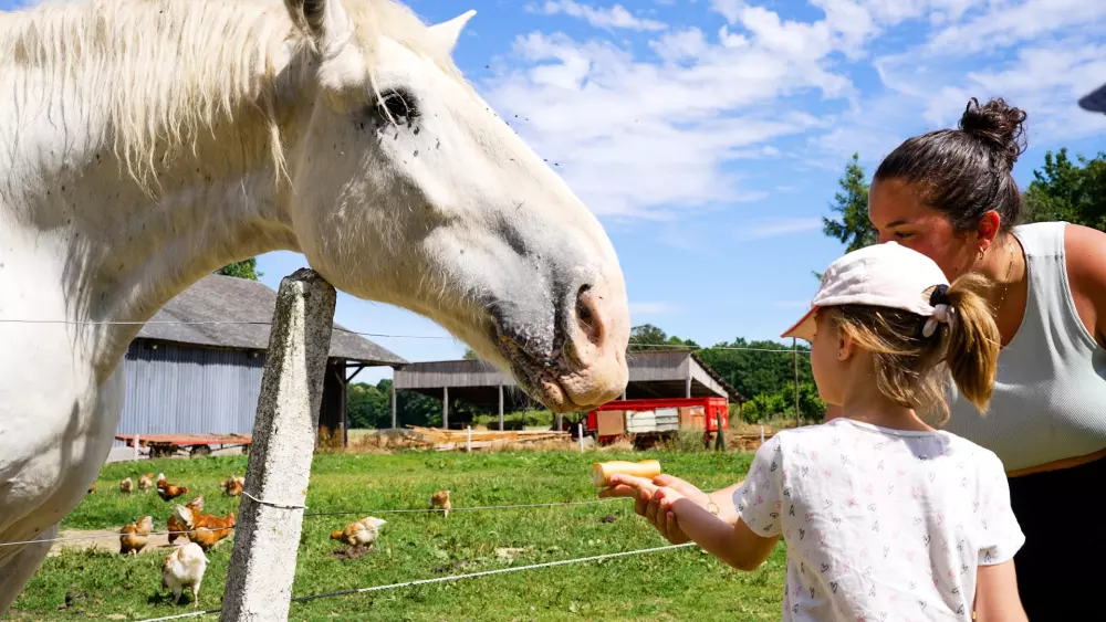 VVF Veules-les-Roses 3 Stars★★★