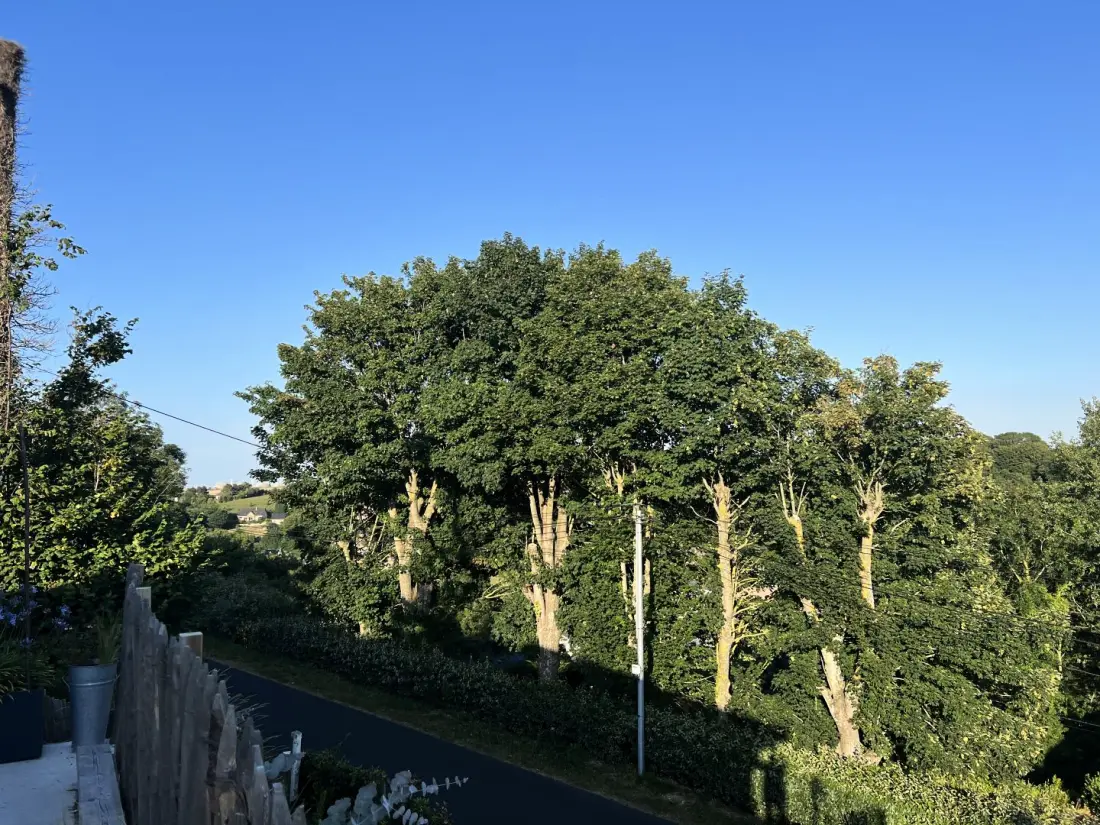 Gîte de France Gîtes de france® - villa la veulette 2 fül