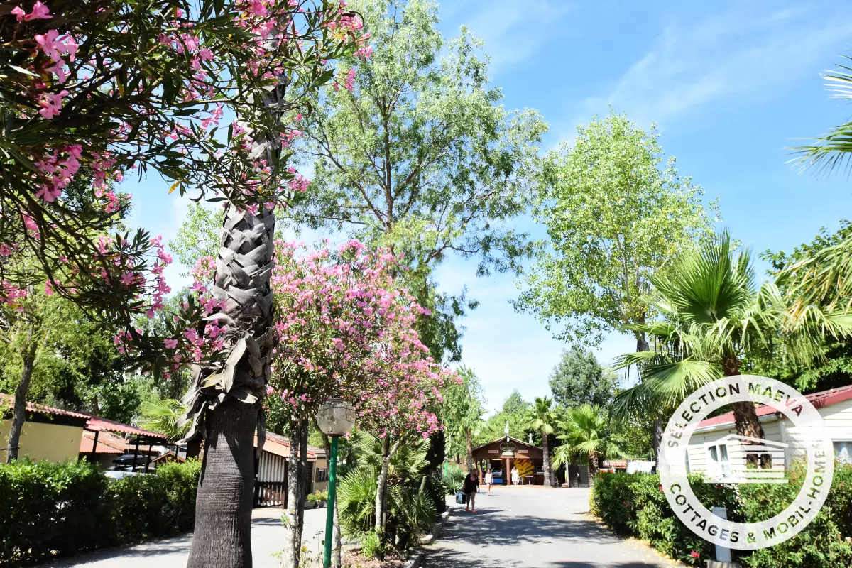 Camping Les Salisses ****