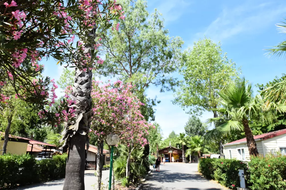 Camping Les Salisses 4 Sterren★★★★