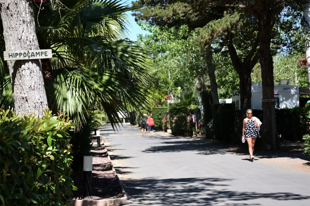 Camping Les Salisses 4 Sterren★★★★