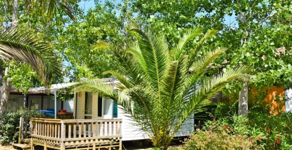 Camping Les Salisses 4 Sterren★★★★