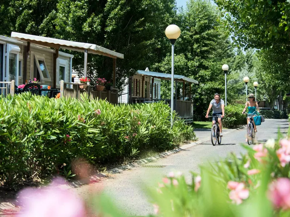 Siblu – Karabassekken