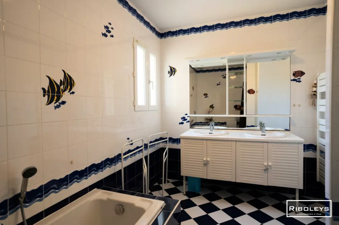 Riboleys - Villa Plain-piping úszómedencével és sziklával