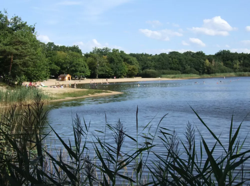 Camping Saisonova The Wood Pond 2 Sterne★★