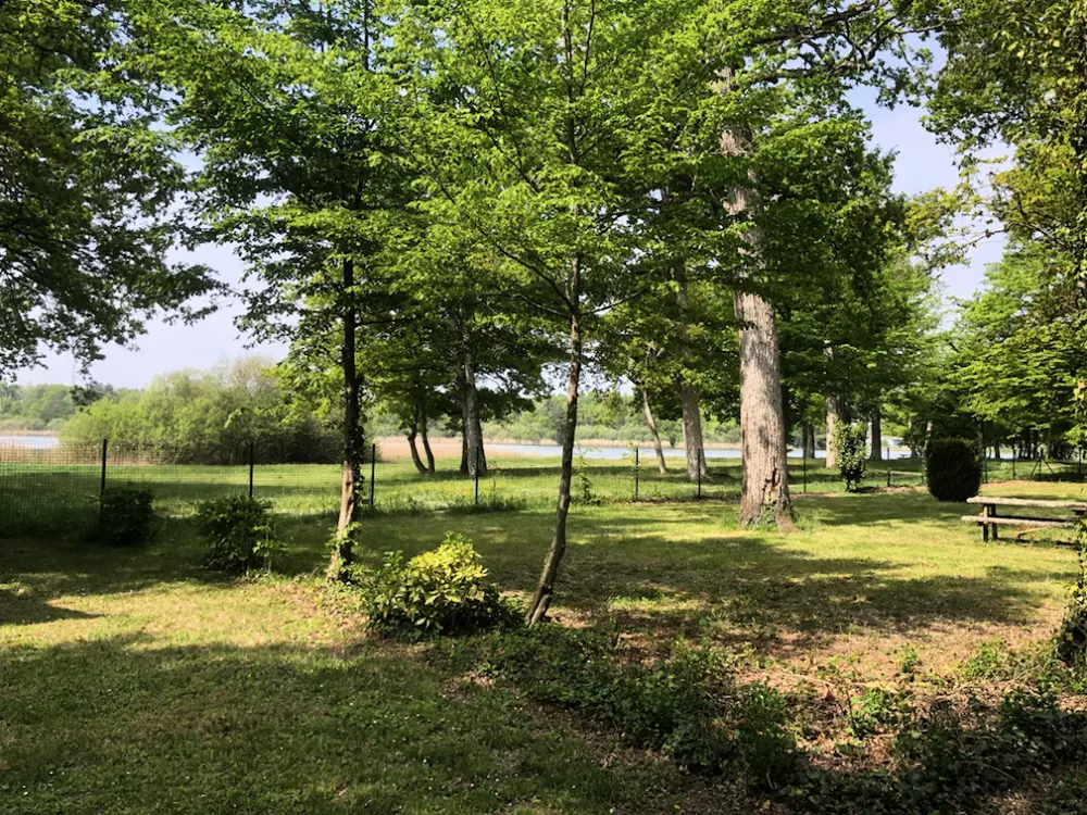 Camping Saisonova The Wood Pond 2 Sterne★★