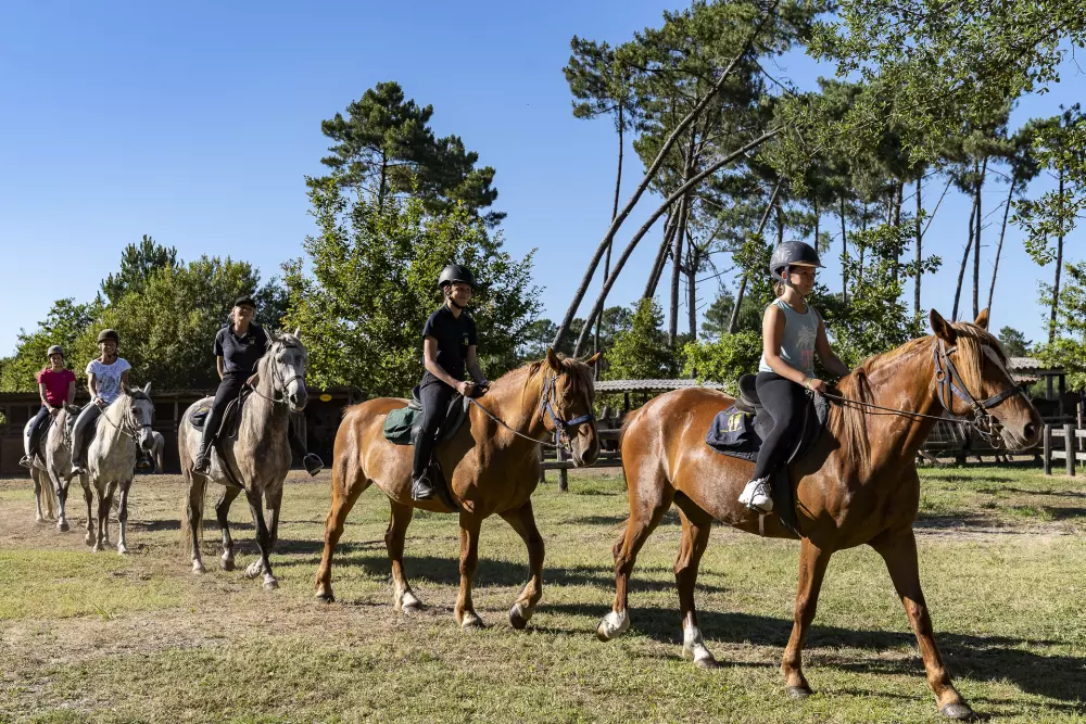 Camping Sandaya Le Col Vert 4 Estrellas★★★★