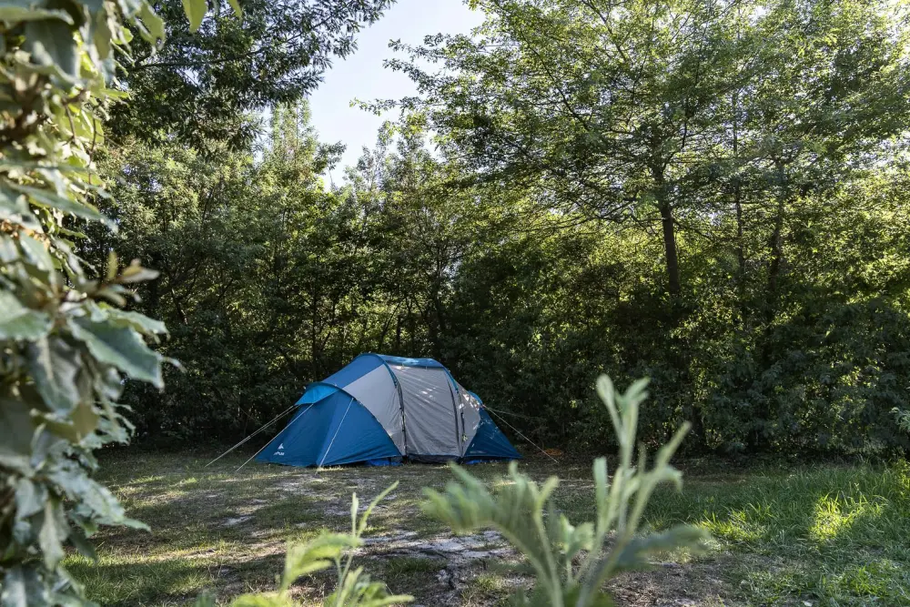 Camping Sandaya Le Col Vert 4 Sterren★★★★