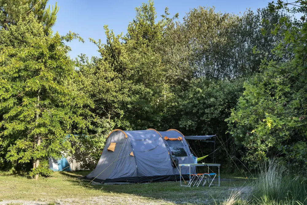 Camping Sandaya Le Col Vert 4 Sterren★★★★