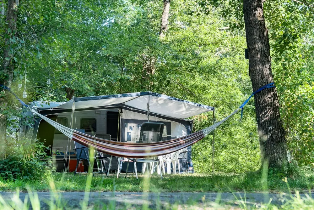 Camping Sandaya Le Col Vert 4 Estrellas★★★★