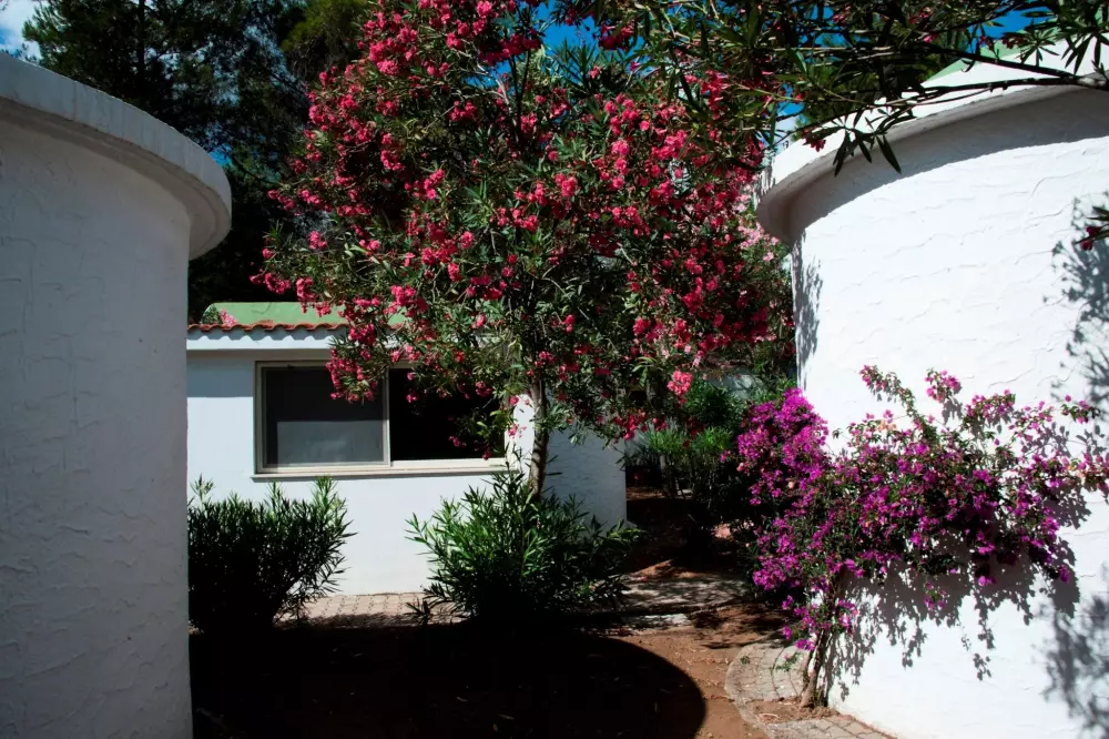 Camping Capo Vieste 3 Sterren★★★