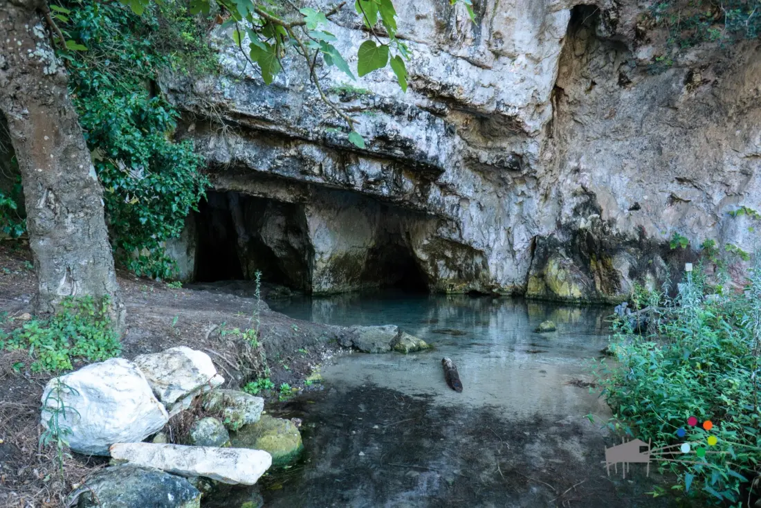 Campeggio Capo Vieste #
