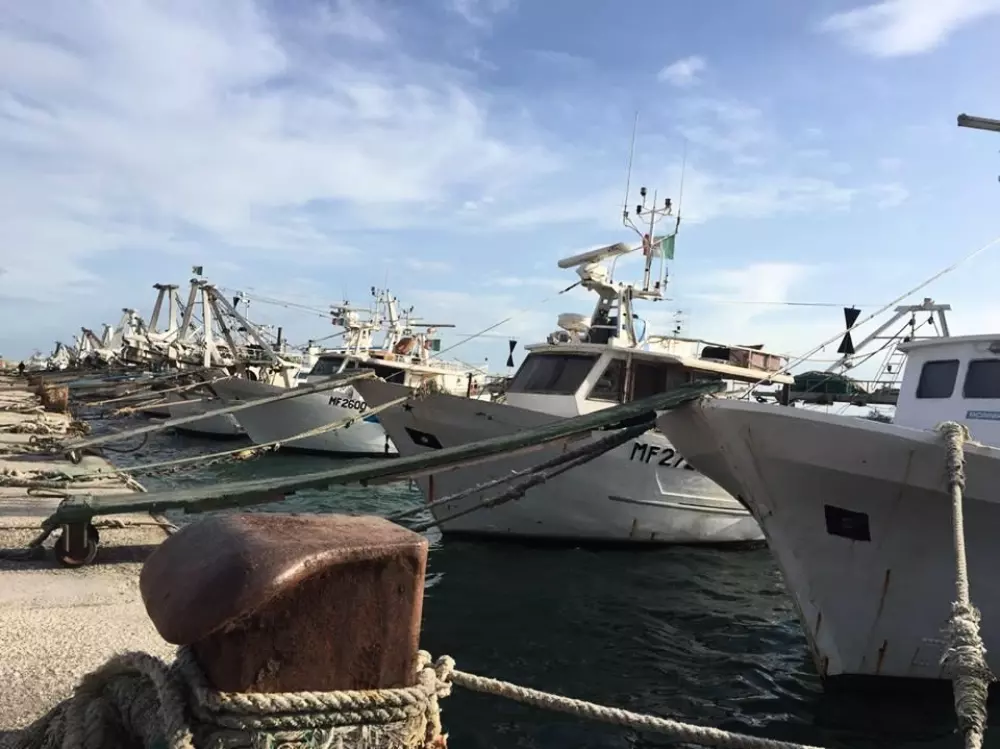 Camping Village Le Diomedee 3 Sterren★★★