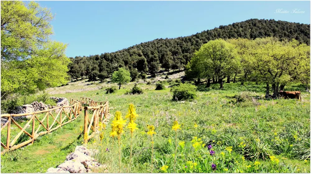 Camping Village Le Diomedee 3 Sterren★★★