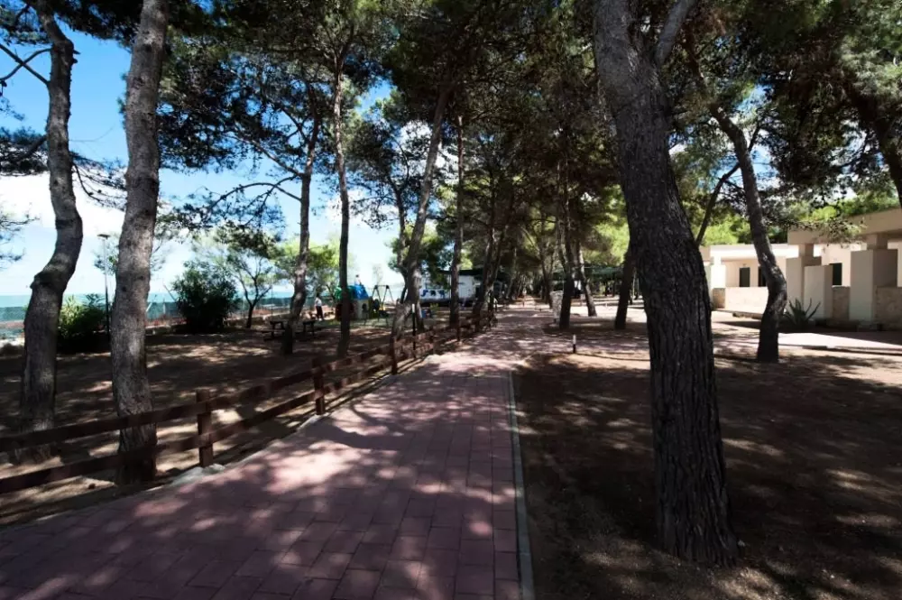 Camping Village Spiaggia Lunga 3 Sterren★★★