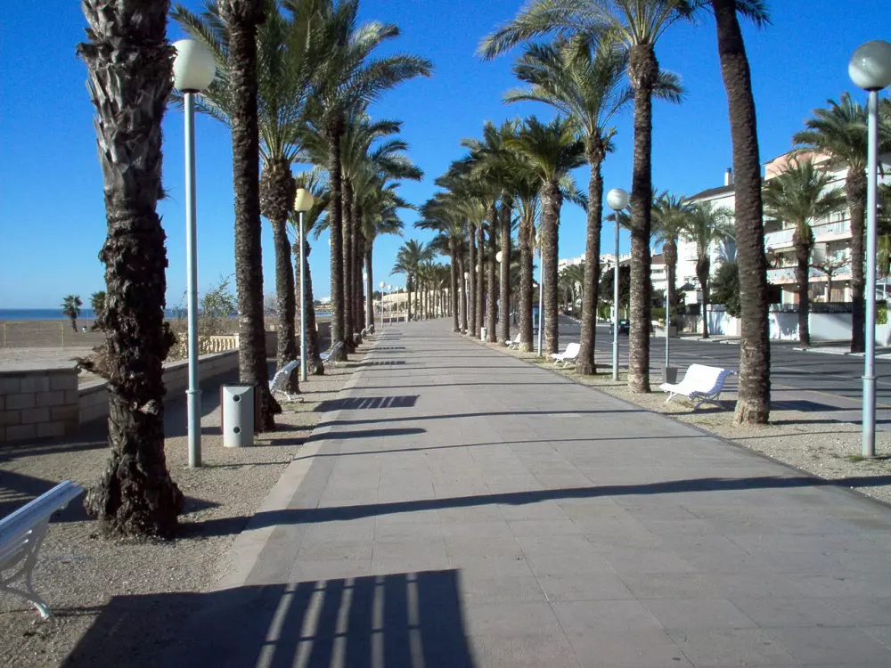 Campsite Vilanova Park...