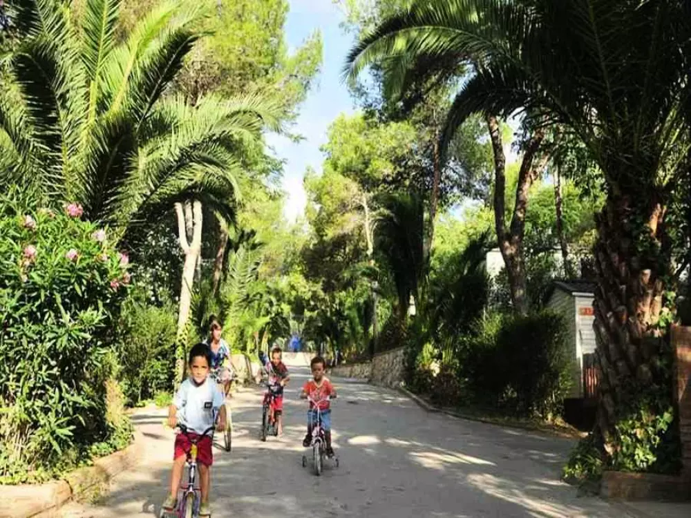 Camping Vilanova Park4 étoiles★★★★