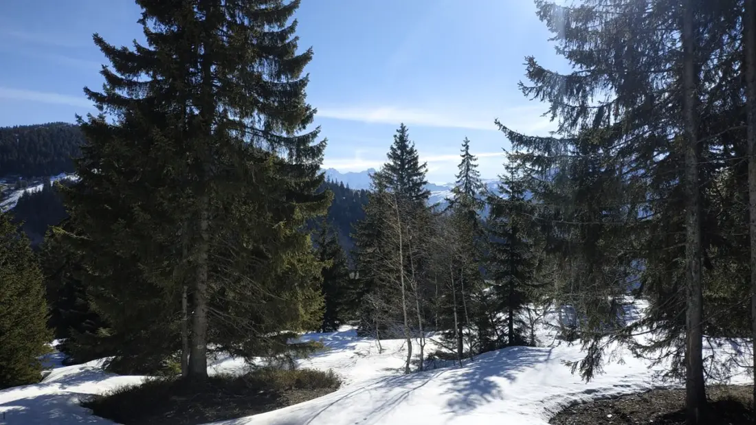 Chalet Akasha