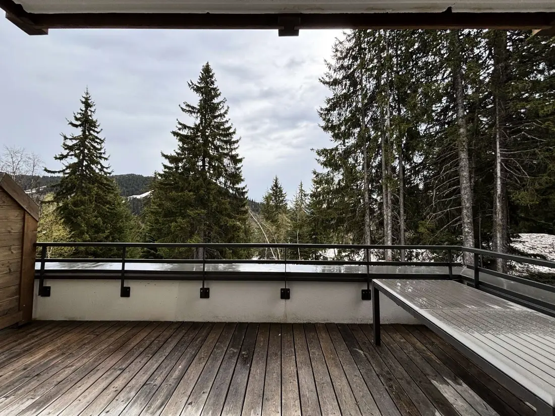 Chalet Akasha