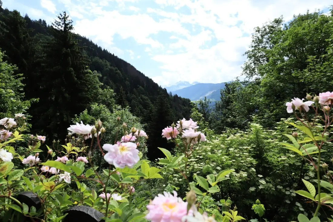 La Cordillere faház