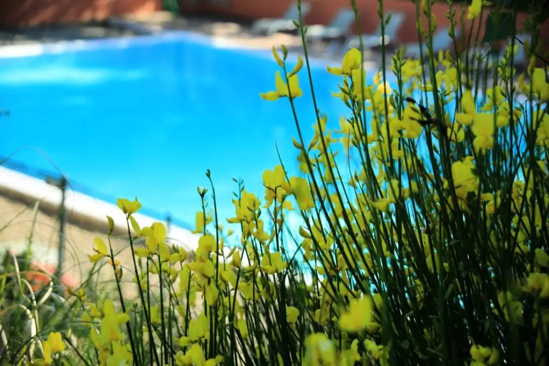 Village Vacances La Colline des Ocres