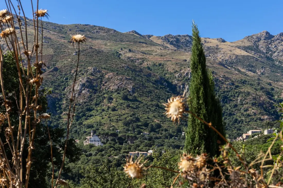 Casa U Quercitellu – Ville-di-paraso