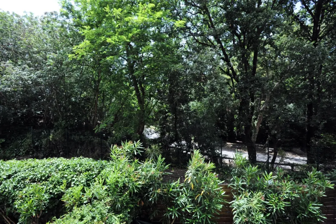 Luminous Nest egy gyönyörű Terasz