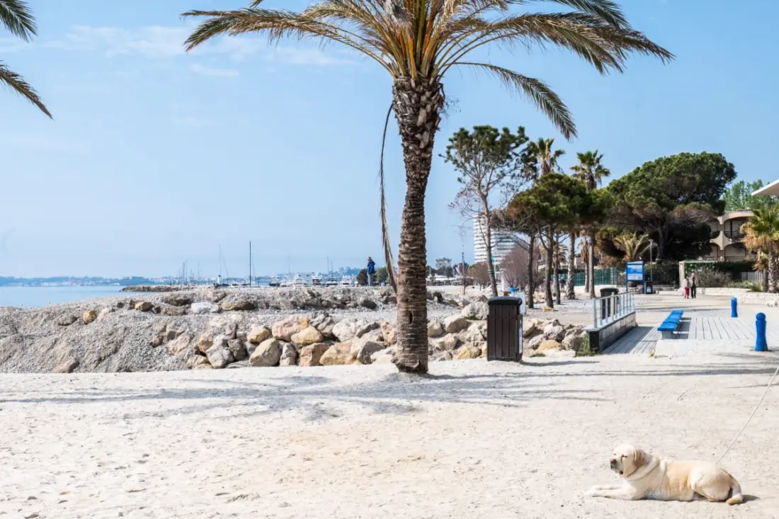 Kleines Cocoon mit direktem Zugang zum Strand!