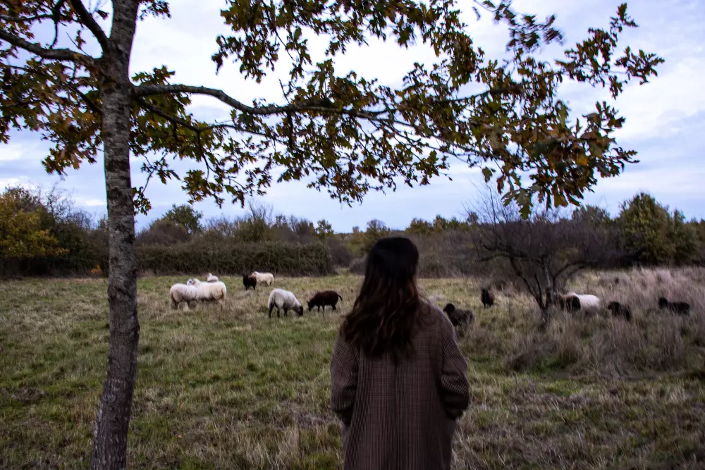 Parcel Tiny House Guilde