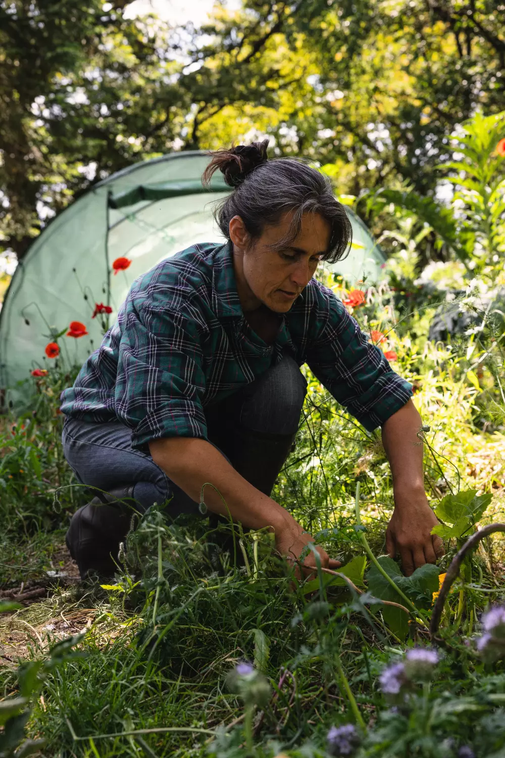 Parcel Tiny House Guilde