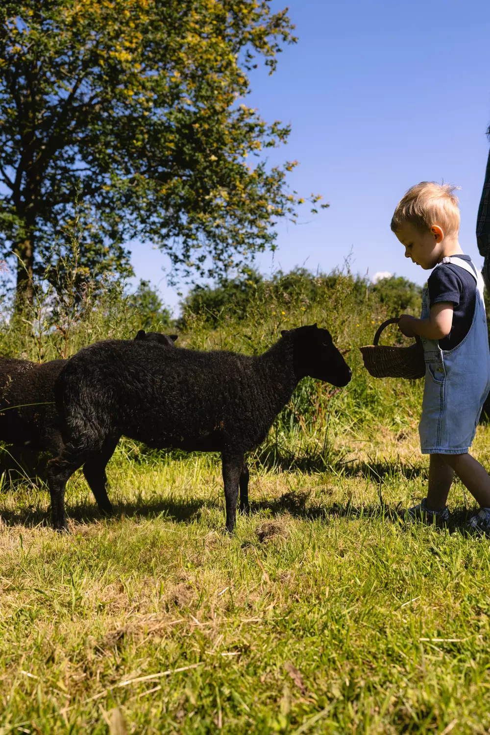 Parcel Tiny House Guilde