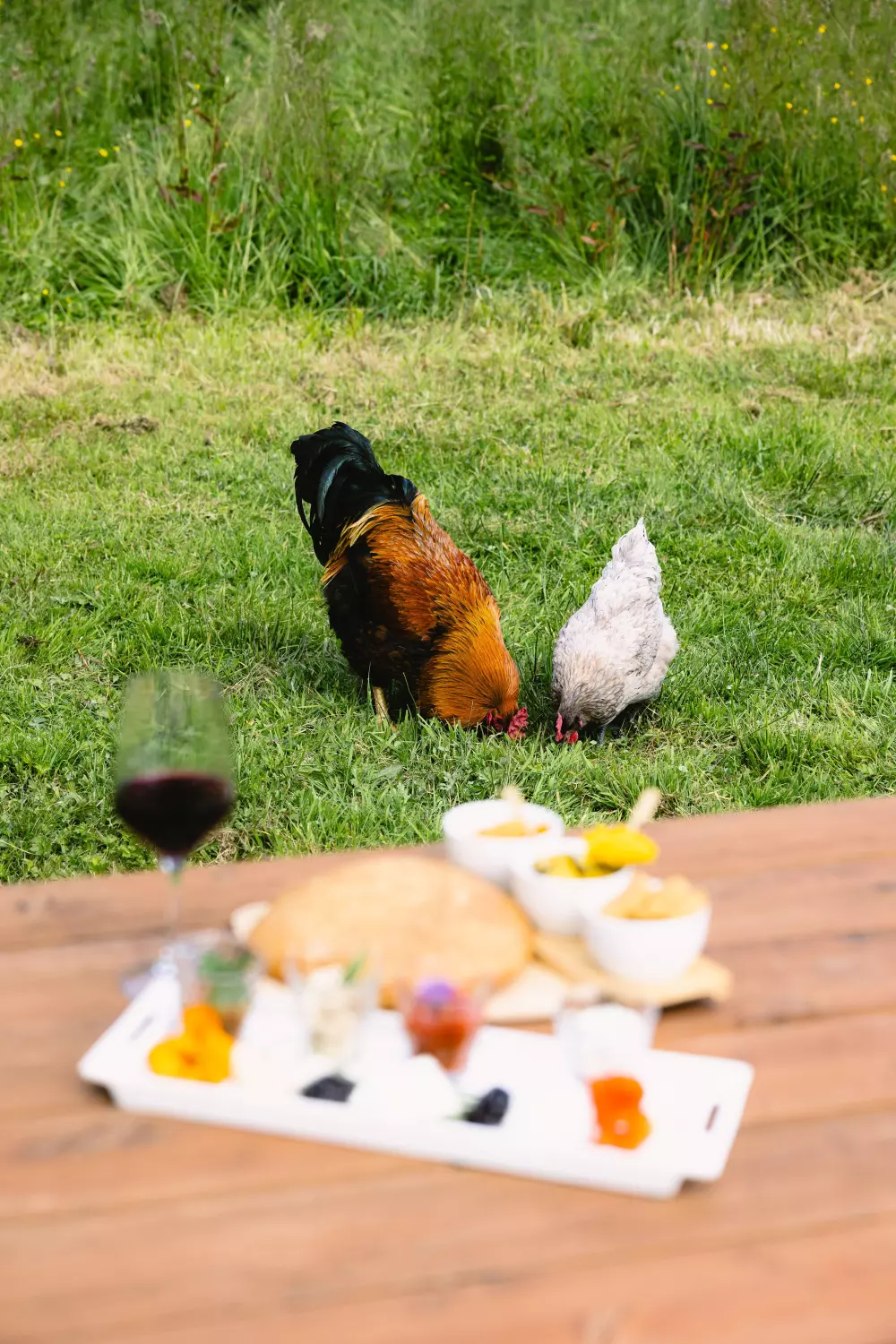 Parcel Tiny House Guilde