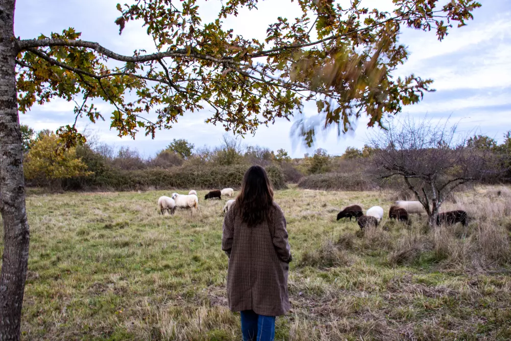 Parcel Tiny House Guilde