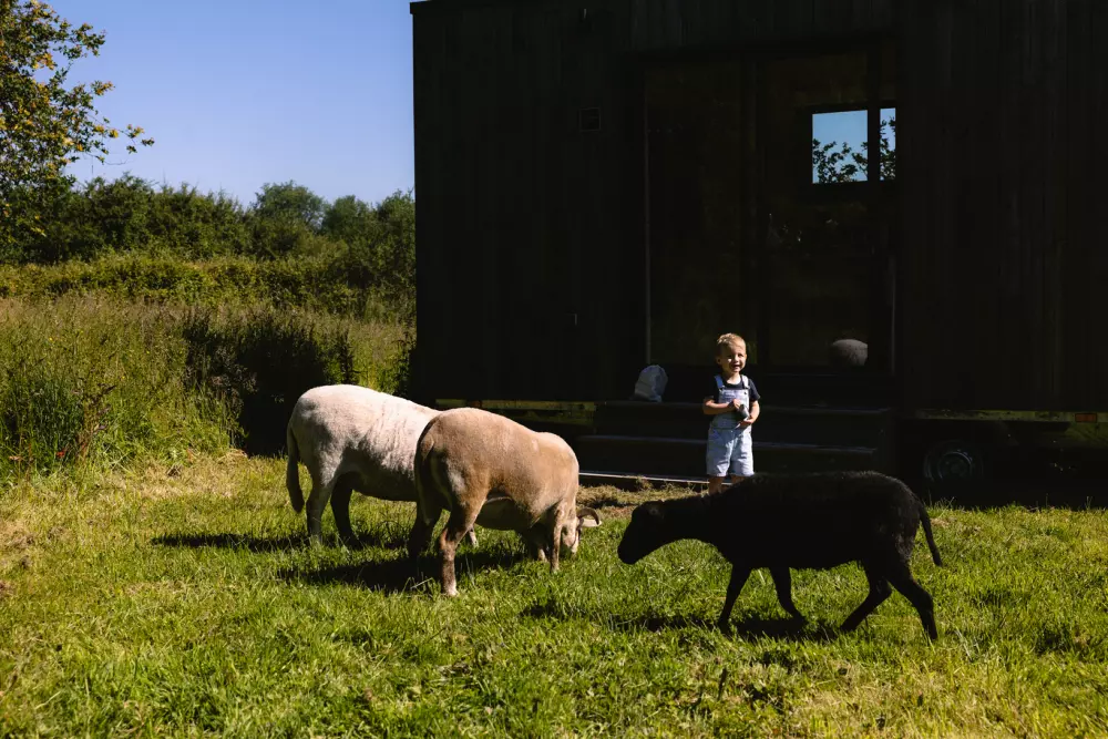 Parcel Tiny House Guilde