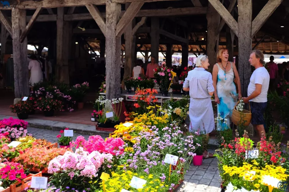 Campingplatz FONTAINE DU ROC 3 Sterne★★★