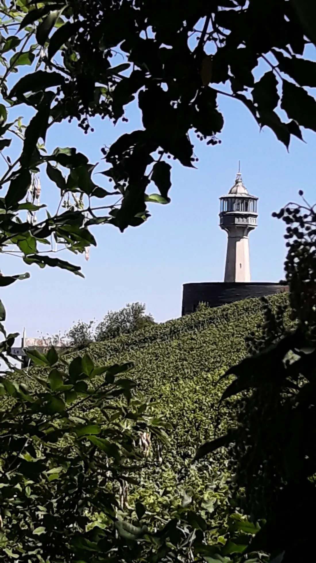 Gîte de France Zwischen Land und Weinbergen - Ferienhaus 3 Ohren