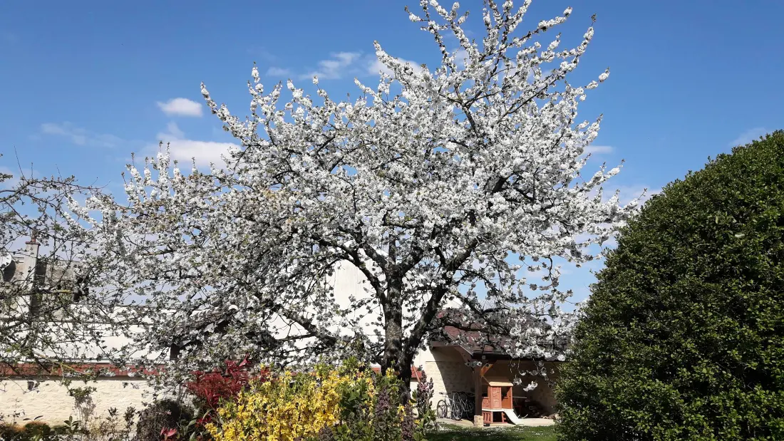 Gîte de France Zwischen Land und Weinbergen - Ferienhaus 3 Ohren