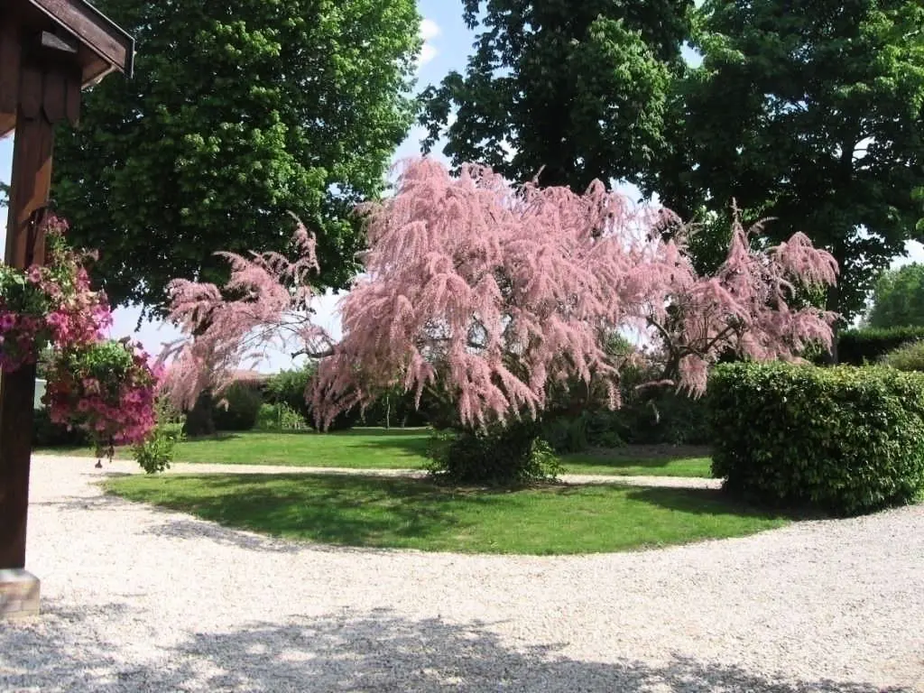Gîte de France Zwischen Land und Weinbergen - Ferienhaus 3 Ohren