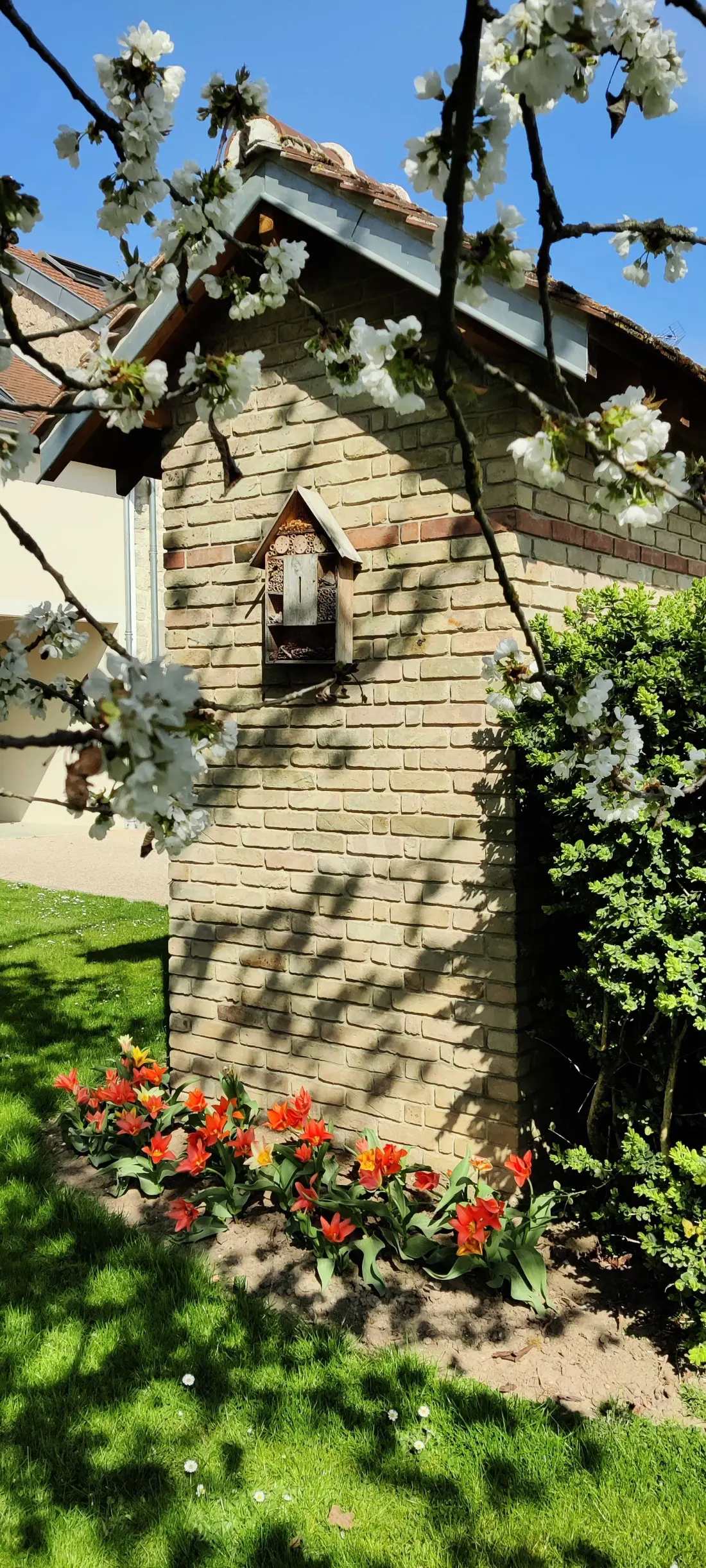 Gîte de France Zwischen Land und Weinbergen - Ferienhaus 3 Ohren