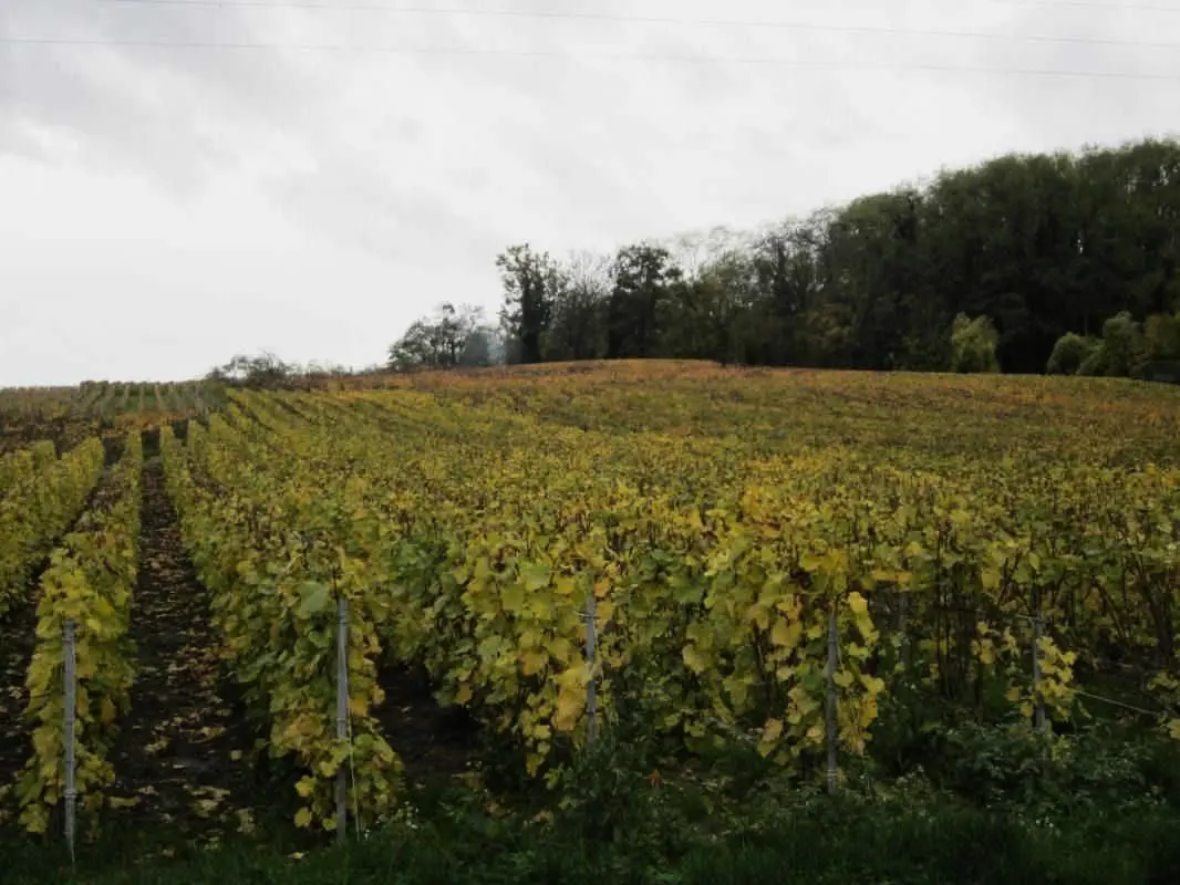 Gîte de France Zwischen Land und Weinbergen - Ferienhaus 3 Ohren