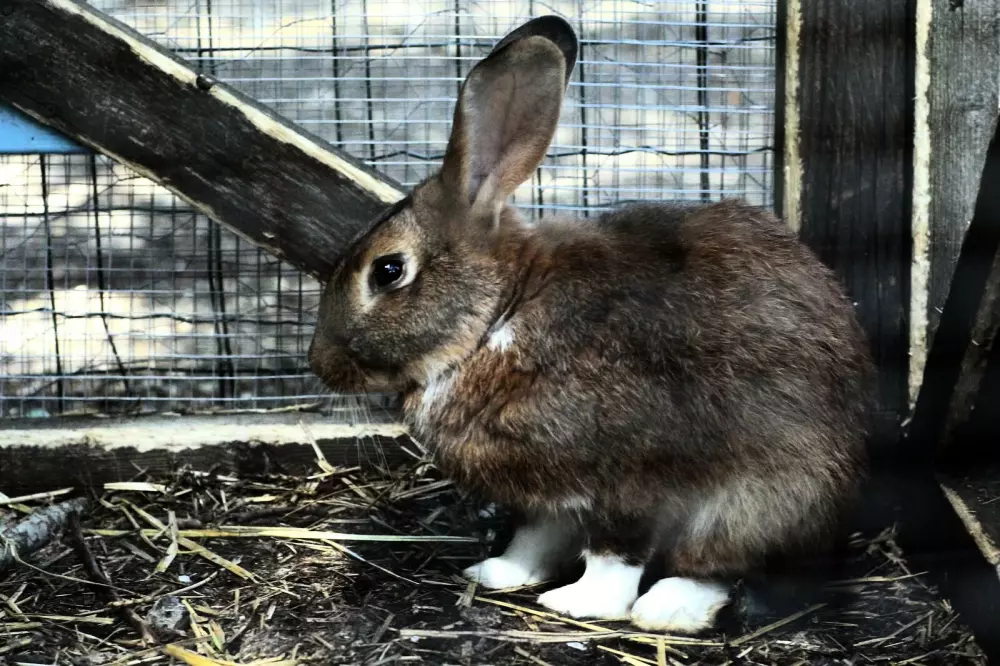 Campingplatz Le Brabois3 Sterne★★★